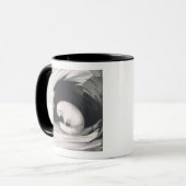 Arctic Fox uit 'Narrative of a Second Reyage in Mok (Voorkant links)