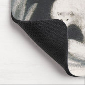 Arctic Fox uit 'Narrative of a Second Reyage in Muismat (Hoek)