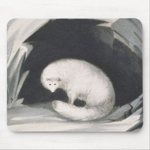 Arctic Fox uit 'Narrative of a Second Reyage in Muismat