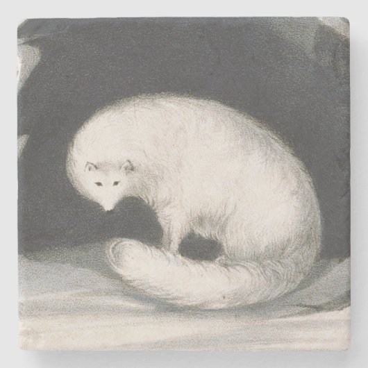 Arctic Fox uit 'Narrative of a Second Reyage in Stenen Onderzetter (Voorkant)