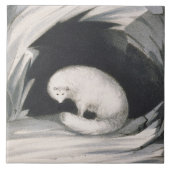 Arctic Fox uit 'Narrative of a Second Reyage in Tegeltje (Voorkant)