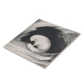 Arctic Fox uit 'Narrative of a Second Reyage in Tegeltje (Zijkant)