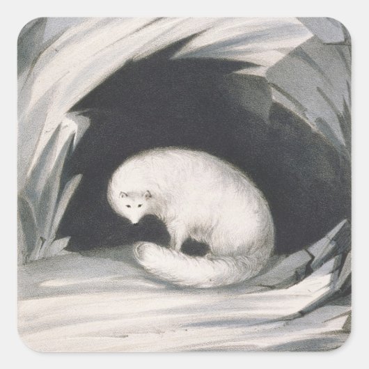 Arctic Fox uit 'Narrative of a Second Reyage in Vierkante Sticker (Voorkant)