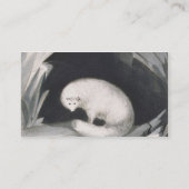 Arctic Fox uit 'Narrative of a Second Reyage in Visitekaartje (Achterkant)