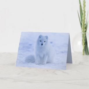 Arctic Fox wenskaart Kaart