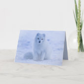 Arctic Fox wenskaart Kaart (Voorkant)