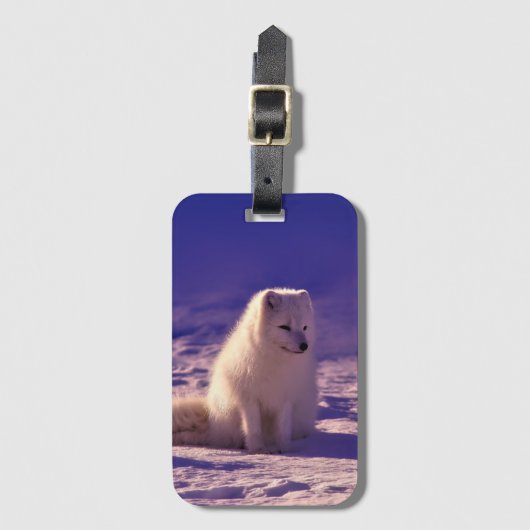 Arctic Fox Winter Snow Landscape Bagagelabel (Voorkant (verticaal))