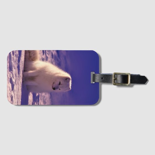 Arctic Fox Winter Snow Landscape Bagagelabel (Voorkant (horizontaal))