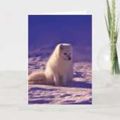Arctic Fox Winter Snow Landscape Kaart (Voorkant)