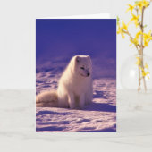 Arctic Fox Winter Snow Landscape Kaart (Gele Bloem)