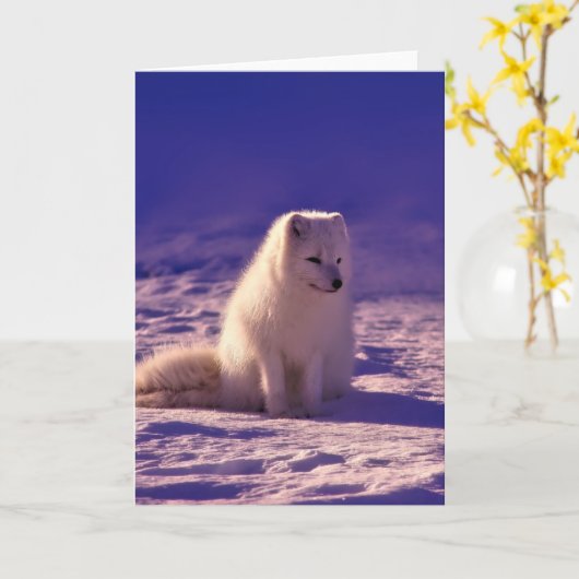 Arctic Fox Winter Snow Landscape Kaart (Gele Bloem)