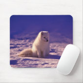 Arctic Fox Winter Snow Landscape Muismat (Met muis)