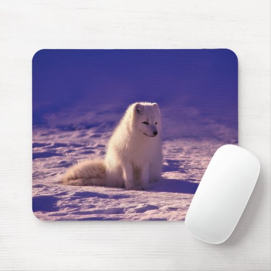 Arctic Fox Winter Snow Landscape Muismat (Met muis)