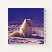 Arctic Fox Winter Snow Landscape Notitieboek (Achterkant)