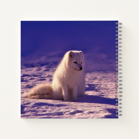 Arctic Fox Winter Snow Landscape Notitieboek (Achterkant)