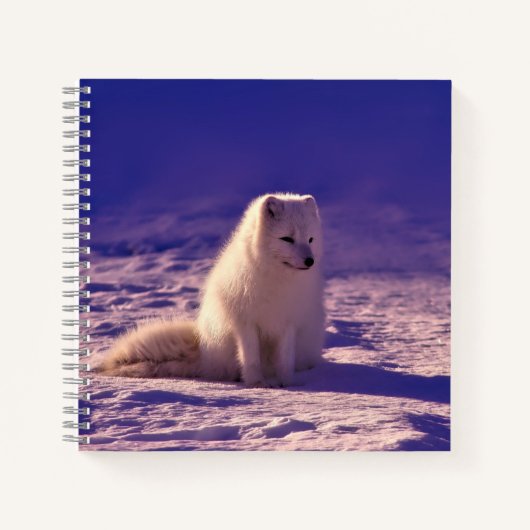 Arctic Fox Winter Snow Landscape Notitieboek (Voorkant)