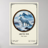 Arctic Fox Zoology Series Poster (Voorkant)