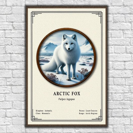Arctic Fox Zoology Series Poster