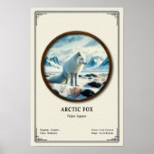 Arctic Fox Zoology Series Poster (Voorkant)