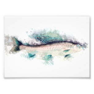 Arctic grayling Aquarelle Art Vist liefhebbers Foto Afdruk