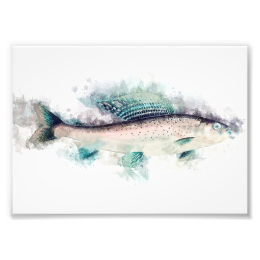 Arctic grayling Aquarelle Art Vist liefhebbers Foto Afdruk (Voorkant)