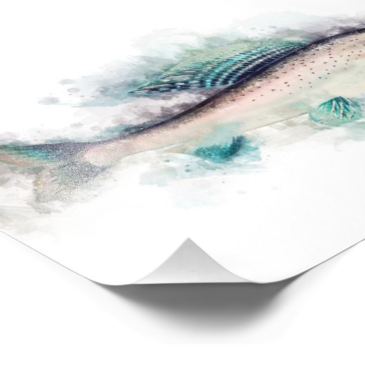 Arctic grayling Aquarelle Art Vist liefhebbers Foto Afdruk (Hoek)