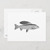 Arctic Grayling Logo (lijnkunst) Briefkaart (Voorkant / Achterkant)