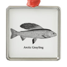 Arctic Grayling Logo (lijnkunst)