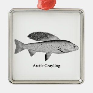 Arctic Grayling Logo (lijnkunst) Metalen Ornament