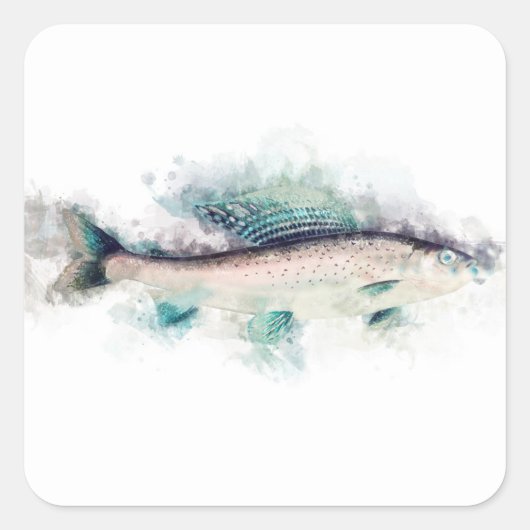 Arctic grayling Waterverf Zalmvissers Kunst Vierkante Sticker (Voorkant)