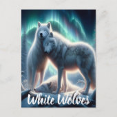 Arctic Guardians Briefkaart (Voorkant)