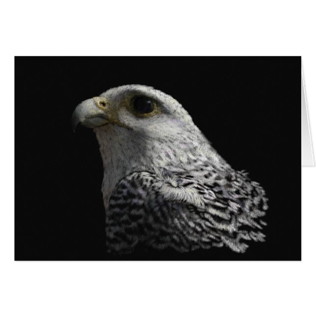 Arctic Gyrfalcon (Voorkant Horizontaal)