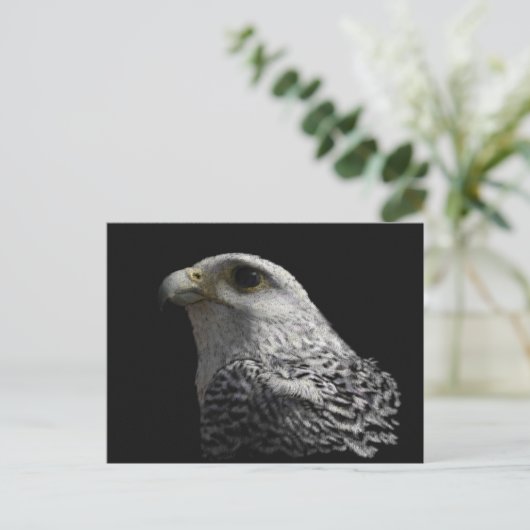 Arctic Gyrfalcon Briefkaart (Staand voorkant)
