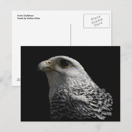 Arctic Gyrfalcon Briefkaart (Voorkant / Achterkant)