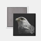 Arctic Gyrfalcon Magneet (Voorkant / Achterkant)
