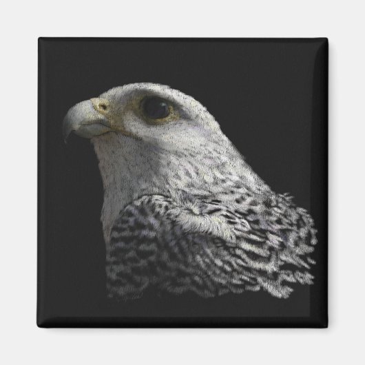 Arctic Gyrfalcon Magneet (Voorkant)