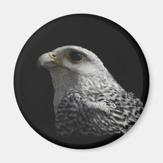 Arctic Gyrfalcon Magneet (Voorkant)