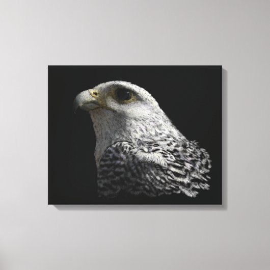 Arctic Gyrfalcon Portrait Painting Canvas Afdruk (Voorkant)