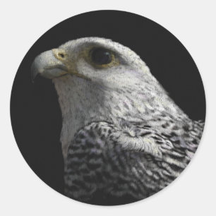 Arctic Gyrfalcon Portrait Painting Ronde Sticker