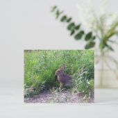 Arctic Hare Briefkaart (Staand voorkant)