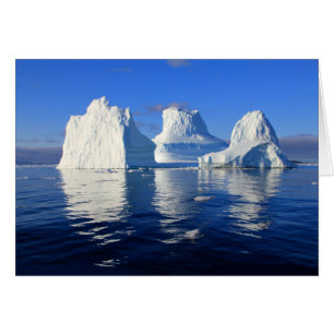 Arctic Icebergs Blue & White Blank Photo Note Kaar