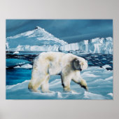 Arctic King Polar Beer Poster (Voorkant)