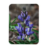 Arctic Lupine, Denali National Park, Alaska Magneet (Verticaal)