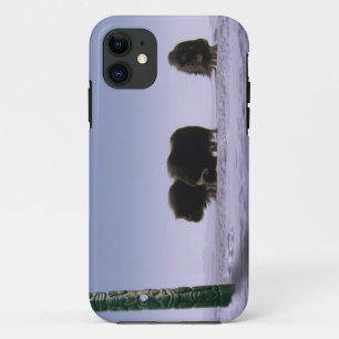 Arctic Musk Ossen & Totems Bovine Wildlife Art Case-Mate iPhone Case