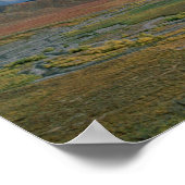 Arctic National Wildlife Refuge Poster (Hoek)