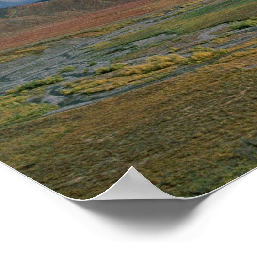 Arctic National Wildlife Refuge Poster (Hoek)