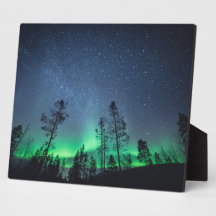 Arctic Northern Lights foto