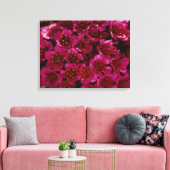 Arctic Paars Saxifrage Flower Photo Ontworpen Canvas Afdruk (Insitu (Woonkamer))