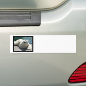 Arctic Polar Beer Bumpersticker (Op auto)