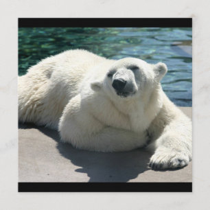 Arctic Polar Beer Invitation Kaart